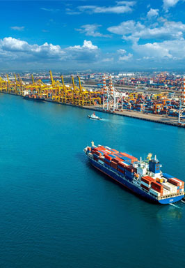 Integrated Financial Reporting System for a Leading Port Operator